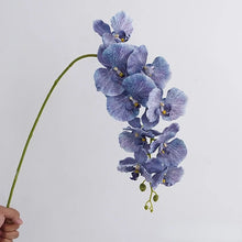 Load image into Gallery viewer, Silk Phalaenopsis Orchids by Allthingscurated feature dynamic blooms with vivid details and texture that will add a touch of understated elegance and charm to your living space. These graceful beauties come in 5 mesmerizing colors. Featured here is Blue Orchid.
