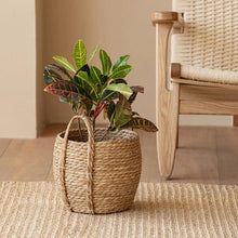 Load image into Gallery viewer, Leedon Woven Baskets by Allthingscurated are hand-woven from seagrass which is an eco-friendly material. The baskets feature sturdy handles for easy transportation and lend a rustic charm to any space. Perfect for storing household items or displaying your favorite plants. Available in 3 sizes.