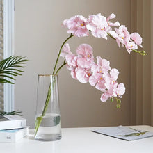 Load image into Gallery viewer, Silk Phalaenopsis Orchids by Allthingscurated feature dynamic blooms with vivid details and texture that will add a touch of understated elegance and charm to your living space. These graceful beauties come in 5 mesmerizing colors.