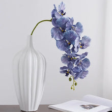 Load image into Gallery viewer, Silk Phalaenopsis Orchids by Allthingscurated feature dynamic blooms with vivid details and texture that will add a touch of understated elegance and charm to your living space. These graceful beauties come in 5 mesmerizing colors.
