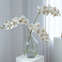 Load image into Gallery viewer, Silk Phalaenopsis Orchids by Allthingscurated feature dynamic blooms with vivid details and texture that will add a touch of understated elegance and charm to your living space. These graceful beauties come in 5 mesmerizing colors.