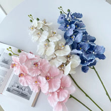 Load image into Gallery viewer, Silk Phalaenopsis Orchids by Allthingscurated feature dynamic blooms with vivid details and texture that will add a touch of understated elegance and charm to your living space. These graceful beauties come in 5 mesmerizing colors.