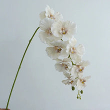 Load image into Gallery viewer, Silk Phalaenopsis Orchids by Allthingscurated feature dynamic blooms with vivid details and texture that will add a touch of understated elegance and charm to your living space. These graceful beauties come in 5 mesmerizing colors. Featured here is Grayish White Orchid.