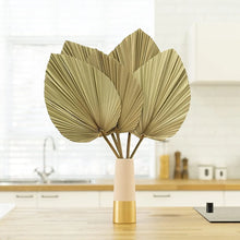 Load image into Gallery viewer, Set of 5 Natural Dried Palm Leaves by Allthingscurated is made of 100% natural palm leaves. Display them in a large vase or jar to create a bold statement and add a touch of tropical vibes to your home. They are perfect for turning your home into an exotic, tropical oasis.