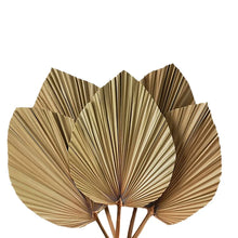 Load image into Gallery viewer, Set of 5 Natural Dried Palm Leaves by Allthingscurated is made of 100% natural palm leaves. Display them in a large vase or jar to create a bold statement and add a touch of tropical vibes to your home. They are perfect for turning your home into an exotic, tropical oasis.