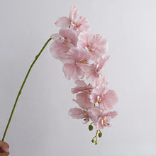 Load image into Gallery viewer, Silk Phalaenopsis Orchids by Allthingscurated feature dynamic blooms with vivid details and texture that will add a touch of understated elegance and charm to your living space. These graceful beauties come in 5 mesmerizing colors. Featured here is Pink Orchid.
