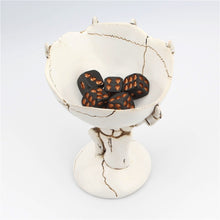 Load image into Gallery viewer, Gothic Skeleton Hand Storage Bowl by Allthingscurated boasts a spooky design featuring a ghoulish skeleton claw in neutral warm off-white and vivid hand bones encircling the bowl. Perfect for adding a frightful touch to your Halloween decor. Crafted from resin and measuring height of 13.5m or5.3 inches and width of 12cm or 4.7 inches.