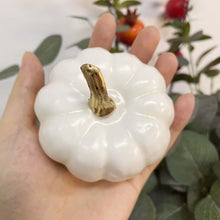 Load image into Gallery viewer, Faux Mini White Pumpkins by Allthingscurated is the perfect party decoration for Halloween, Thanksgiving and all fall festivities. Comes in a bundle of 6 mini pumpkins they will lend your home a festive touch.