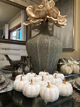 Load image into Gallery viewer, Faux Mini White Pumpkins by Allthingscurated is the perfect party decoration for Halloween, Thanksgiving and all fall festivities. Comes in a bundle of 6 mini pumpkins they will lend your home a festive touch.