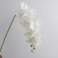 Load image into Gallery viewer, Silk Phalaenopsis Orchids by Allthingscurated feature dynamic blooms with vivid details and texture that will add a touch of understated elegance and charm to your living space. These graceful beauties come in 5 mesmerizing colors. Featured here is White Orchid.