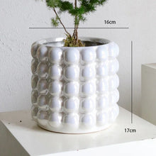 Load image into Gallery viewer, Zayla Bubble Planters