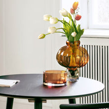 Load image into Gallery viewer, Luna Lantern Vases by Allthingscurated are stylish and versatile. Crafted from high-quality thick glass and creatively shaped like an Oriental Lantern with a strong aesthetic, they are perfect for creative floral arrangement or simply as a decorative display on its own. Comes in 2 sizes and 3 avaliable colors of green, gray and amber.