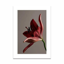Load image into Gallery viewer, Sweet-Joy-of-Christmas Canvas Art Prints