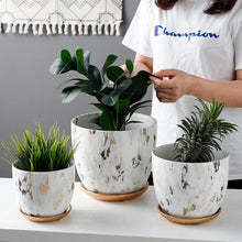 Load image into Gallery viewer, Marble Design Ceramic Plant Pot