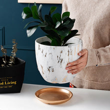 Load image into Gallery viewer, Marble Design Plant Pot 3 sizes with plate