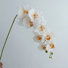 Load image into Gallery viewer, Silk Phalaenopsis Orchids by Allthingscurated feature dynamic blooms with vivid details and texture that will add a touch of understated elegance and charm to your living space. These graceful beauties come in 5 mesmerizing colors. Featured here is Autumn White Orchid.
