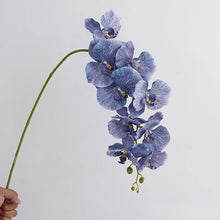 Load image into Gallery viewer, Silk Phalaenopsis Orchids by Allthingscurated feature dynamic blooms with vivid details and texture that will add a touch of understated elegance and charm to your living space. These graceful beauties come in 5 mesmerizing colors. Featured here is Blue Orchid.
