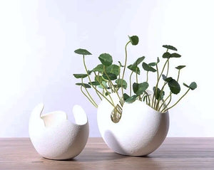 Egg Shell Decorative Pots by Allthingscurated spot an unconventional, egg shape design that looks aesthetically beautiful on its own as an ornamental piece, or full of character as a plant pot for your favorite botanicals. Made of ceramic and comes in 3 different sizes.