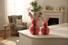 Load image into Gallery viewer, Two pink paper bunny decorations on a white piano. This curated set of two Honeycomb Easter Bunnies by Allthingscurated instantly transforms any space into a festive Easter wonderland. Their adorable silhouettes add personality and warmth to your holiday décor. Quick assembly and compact storage, with proper care, they remain beautiful year after year. Comes in 5 delightful colors.
