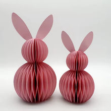 Load image into Gallery viewer, Honeycomb Easter Bunny (set of 2)
