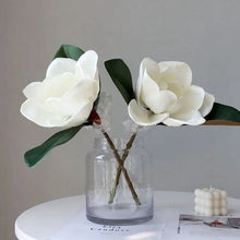 Load image into Gallery viewer, Faux Large White Magnolia by Allthingscurated is expertly crafted with realistic details to look as good as the real thing. It’s a gorgeous addition to your home décor and stays beautiful and pretty all year round. Its grand size makes it perfect as a single flower but creates a dramatic effect when arranged in a bunch. Measures 40cm or 15.6 inches in height and 18cm or 7 inches in width.

