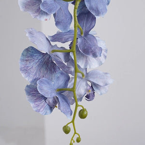 Silk Phalaenopsis Orchids by Allthingscurated feature dynamic blooms with vivid details and texture that will add a touch of understated elegance and charm to your living space. These graceful beauties come in 5 mesmerizing colors.