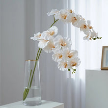 Load image into Gallery viewer, Silk Phalaenopsis Orchids by Allthingscurated feature dynamic blooms with vivid details and texture that will add a touch of understated elegance and charm to your living space. These graceful beauties come in 5 mesmerizing colors.
