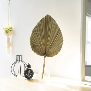 Set of 5 Natural Dried Palm Leaves by Allthingscurated is made of 100% natural palm leaves. Display them in a large vase or jar to create a bold statement and add a touch of tropical vibes to your home. They are perfect for turning your home into an exotic, tropical oasis.