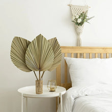 Load image into Gallery viewer, Set of 5 Natural Dried Palm Leaves by Allthingscurated is made of 100% natural palm leaves. Display them in a large vase or jar to create a bold statement and add a touch of tropical vibes to your home. They are perfect for turning your home into an exotic, tropical oasis.
