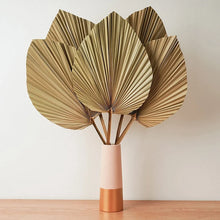 Load image into Gallery viewer, Set of 5 Natural Dried Palm Leaves by Allthingscurated is made of 100% natural palm leaves. Display them in a large vase or jar to create a bold statement and add a touch of tropical vibes to your home. They are perfect for turning your home into an exotic, tropical oasis.
