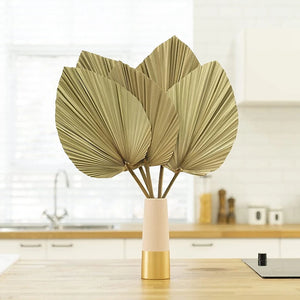 Set of 5 Natural Dried Palm Leaves by Allthingscurated is made of 100% natural palm leaves. Display them in a large vase or jar to create a bold statement and add a touch of tropical vibes to your home. They are perfect for turning your home into an exotic, tropical oasis.