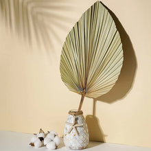 Load image into Gallery viewer, Set of 5 Natural Dried Palm Leaves by Allthingscurated is made of 100% natural palm leaves. Display them in a large vase or jar to create a bold statement and add a touch of tropical vibes to your home. They are perfect for turning your home into an exotic, tropical oasis.
