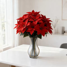 Load image into Gallery viewer, Bouquet of red poinsettias in a clear vase on a white surface with a light background. Bring the true spirit of the holidays into your home with this bundle of 5 classic red Faux Poinsettia by Allthingscurated. These timeless blooms complement any festive palette and instantly evokes Christmas cheer.

