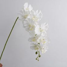 Load image into Gallery viewer, Silk Phalaenopsis Orchids by Allthingscurated feature dynamic blooms with vivid details and texture that will add a touch of understated elegance and charm to your living space. These graceful beauties come in 5 mesmerizing colors. Featured here is White Orchid.
