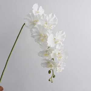 Silk Phalaenopsis Orchids by Allthingscurated feature dynamic blooms with vivid details and texture that will add a touch of understated elegance and charm to your living space. These graceful beauties come in 5 mesmerizing colors. Featured here is White Orchid.