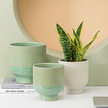 Load image into Gallery viewer, Kai Ceramic Planters
