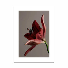 Load image into Gallery viewer, Sweet-Joy-of-Christmas Canvas Art Prints

