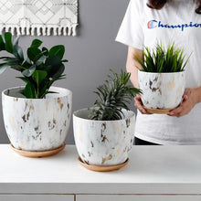 Load image into Gallery viewer, Marble Design Ceramic Plant Pot
