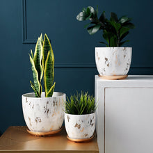 Load image into Gallery viewer, Marble Design Plant Pot 3 sizes with plate
